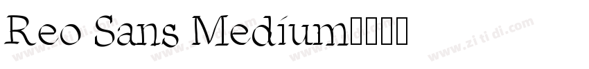 Reo Sans Medium字体转换